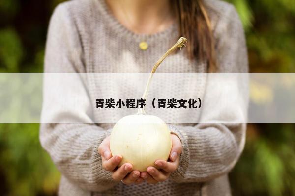 青柴小程序（青柴文化）