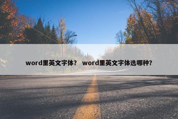 word里英文字体？ word里英文字体选哪种？