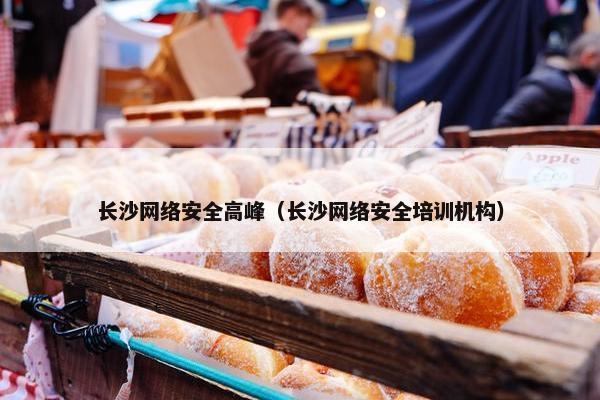 长沙网络安全高峰（长沙网络安全培训机构）