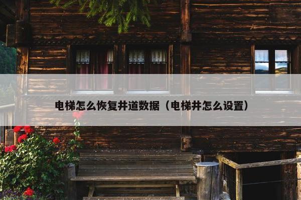 电梯怎么恢复井道数据（电梯井怎么设置）