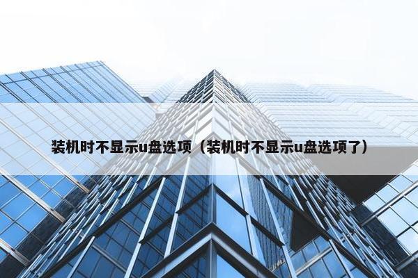 装机时不显示u盘选项（装机时不显示u盘选项了）
