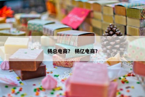 杨总电商？ 杨亿电商？