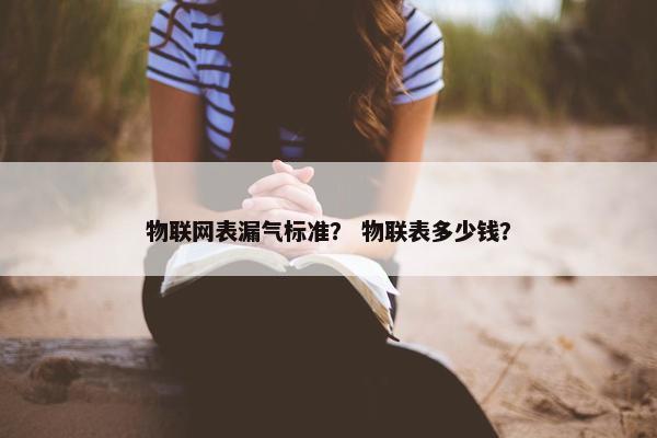 物联网表漏气标准？ 物联表多少钱？
