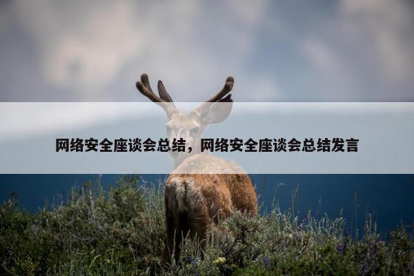 网络安全座谈会总结，网络安全座谈会总结发言