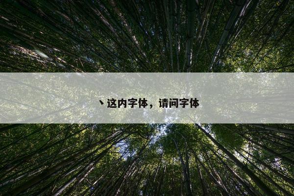 丶这内字体，请问字体