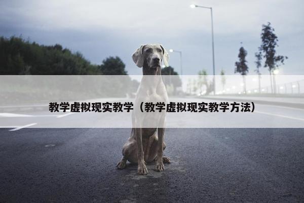 教学虚拟现实教学（教学虚拟现实教学方法）