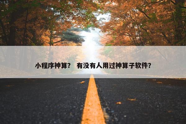小程序神算？ 有没有人用过神算子软件？