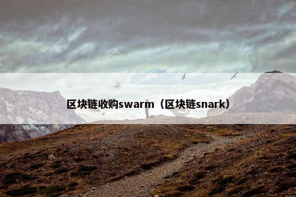区块链收购swarm（区块链snark）