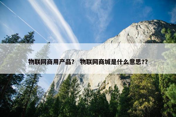 物联网商用产品？ 物联网商城是什么意思?？