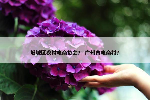 增城区农村电商协会？ 广州市电商村？