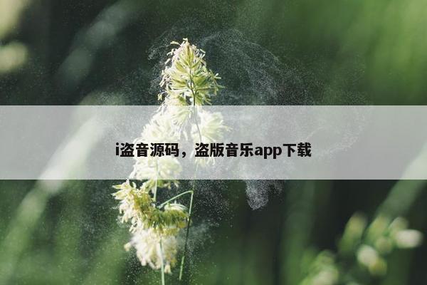 i盗音源码，盗版音乐app下载