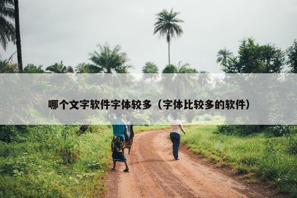哪个文字软件字体较多（字体比较多的软件）