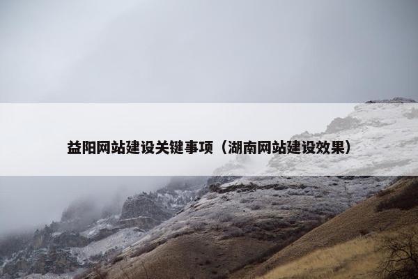 益阳网站建设关键事项（湖南网站建设效果）