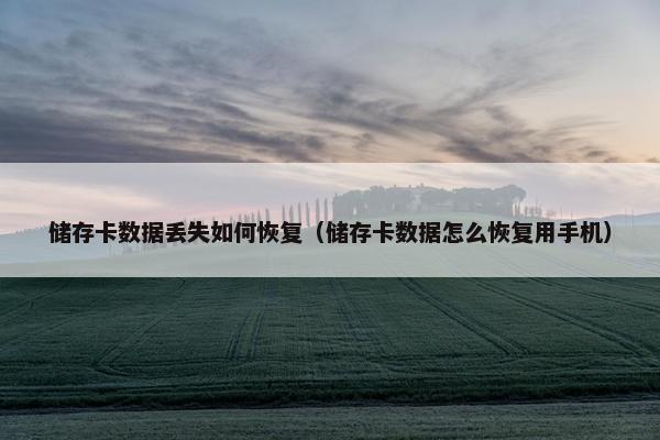 储存卡数据丢失如何恢复（储存卡数据怎么恢复用手机）