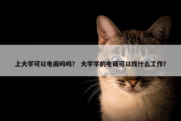 上大学可以电商吗吗？ 大学学的电商可以找什么工作？