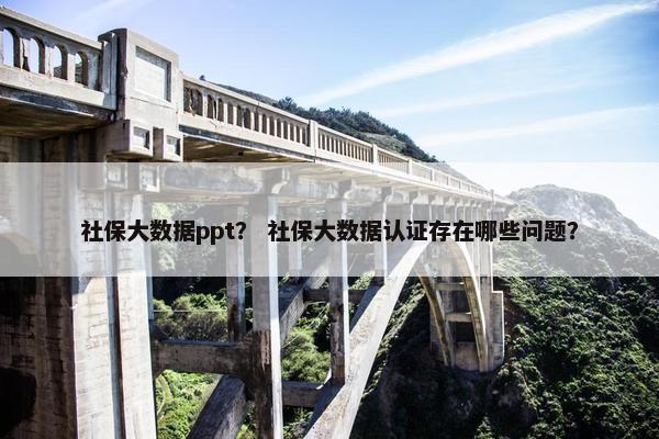 社保大数据ppt？ 社保大数据认证存在哪些问题？