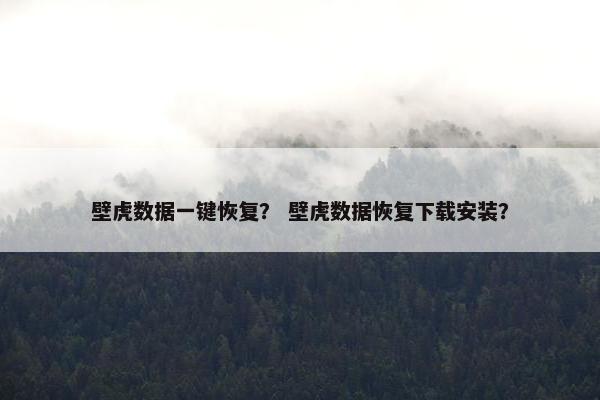 壁虎数据一键恢复？ 壁虎数据恢复下载安装？