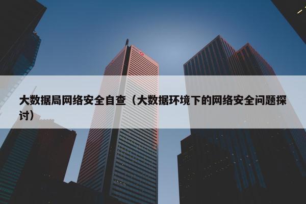 大数据局网络安全自查（大数据环境下的网络安全问题探讨）