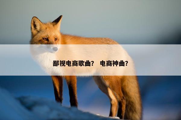 鄙视电商歌曲？ 电商神曲？