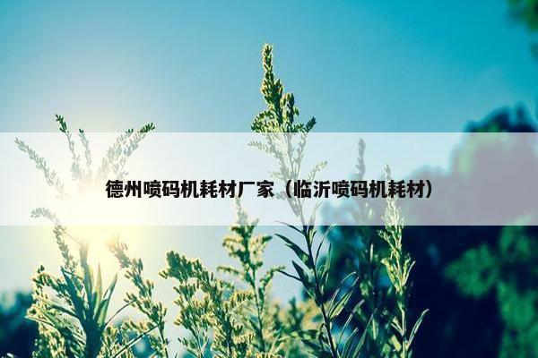 德州喷码机耗材厂家（临沂喷码机耗材）