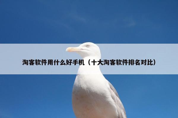 淘客软件用什么好手机（十大淘客软件排名对比）