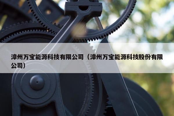 漳州万宝能源科技有限公司（漳州万宝能源科技股份有限公司）