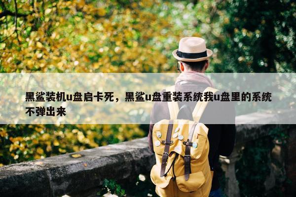 黑鲨装机u盘启卡死，黑鲨u盘重装系统我u盘里的系统不弹出来