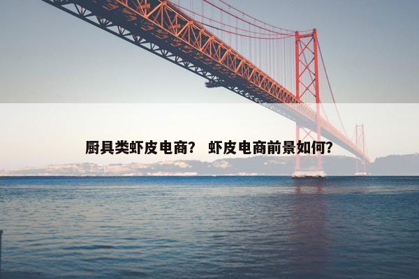 厨具类虾皮电商？ 虾皮电商前景如何？
