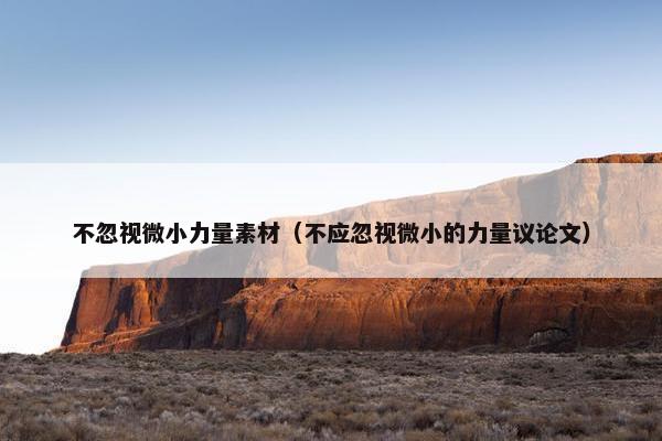 不忽视微小力量素材（不应忽视微小的力量议论文）