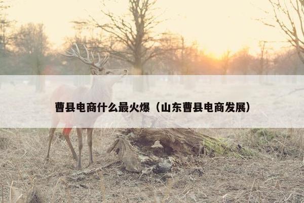 曹县电商什么最火爆（山东曹县电商发展）