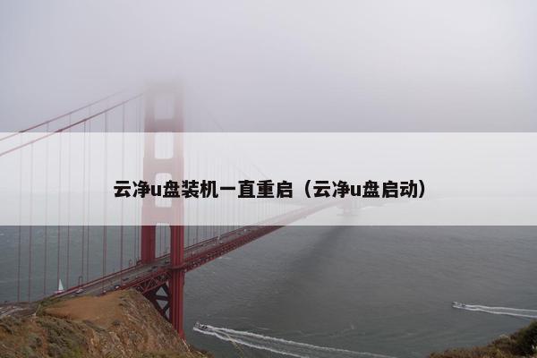 云净u盘装机一直重启（云净u盘启动）