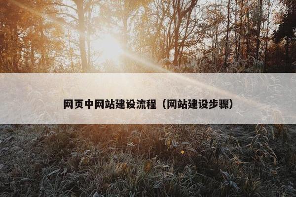 网页中网站建设流程（网站建设步骤）