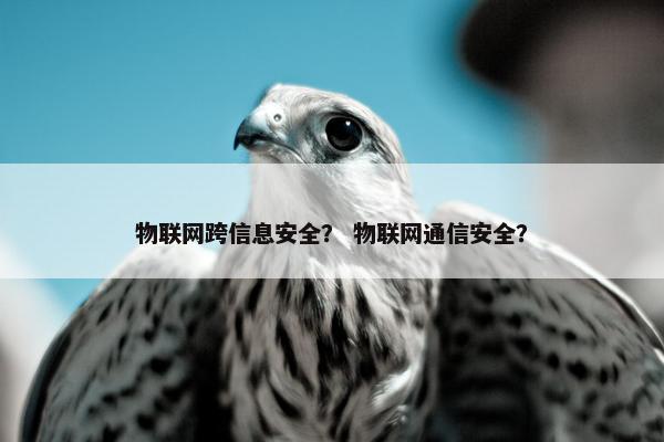 物联网跨信息安全？ 物联网通信安全？