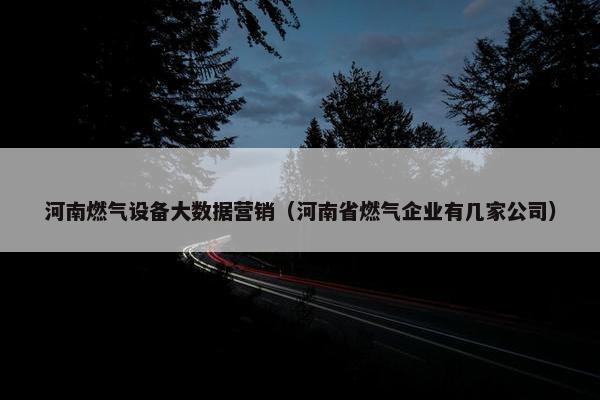河南燃气设备大数据营销（河南省燃气企业有几家公司）