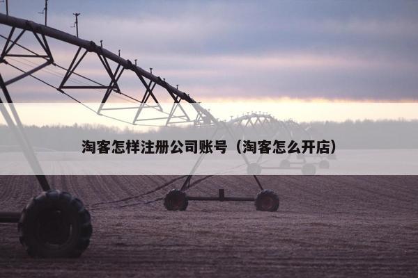 淘客怎样注册公司账号（淘客怎么开店）