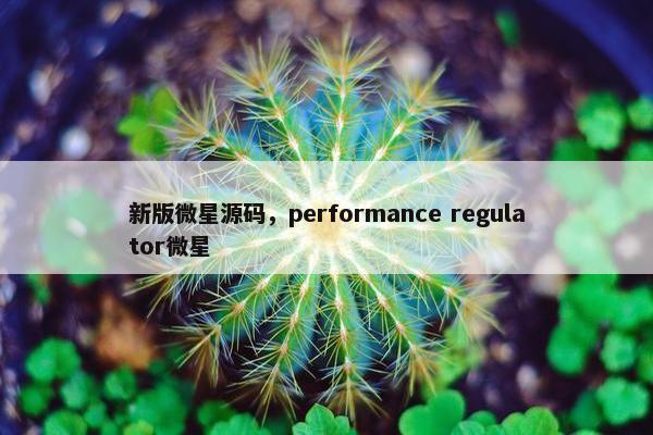 新版微星源码，performance regulator微星