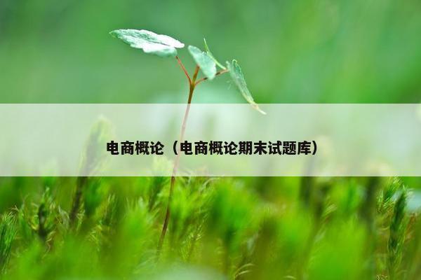 电商概论（电商概论期末试题库）