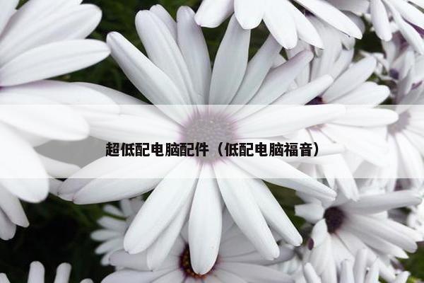 超低配电脑配件（低配电脑福音）