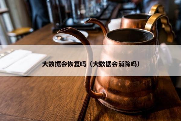 大数据会恢复吗（大数据会消除吗）