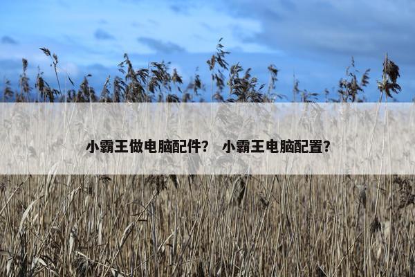 小霸王做电脑配件？ 小霸王电脑配置？