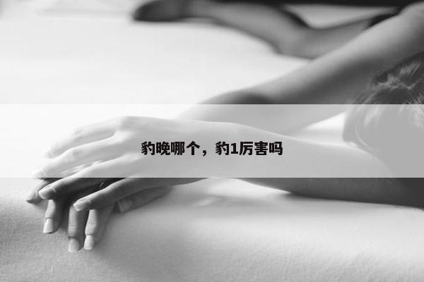 豹晚哪个，豹1厉害吗
