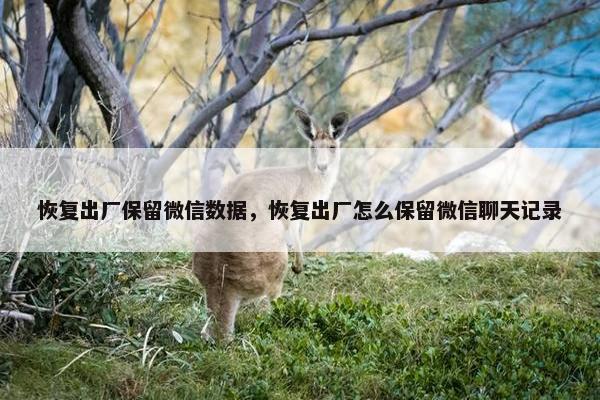 恢复出厂保留微信数据，恢复出厂怎么保留微信聊天记录