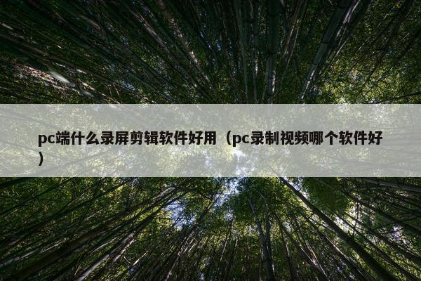 pc端什么录屏剪辑软件好用（pc录制视频哪个软件好）