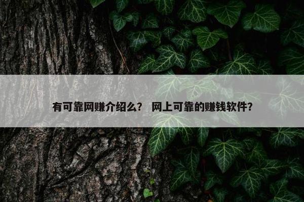 有可靠网赚介绍么？ 网上可靠的赚钱软件？