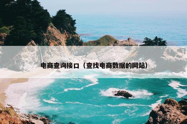 电商查询接口（查找电商数据的网站）