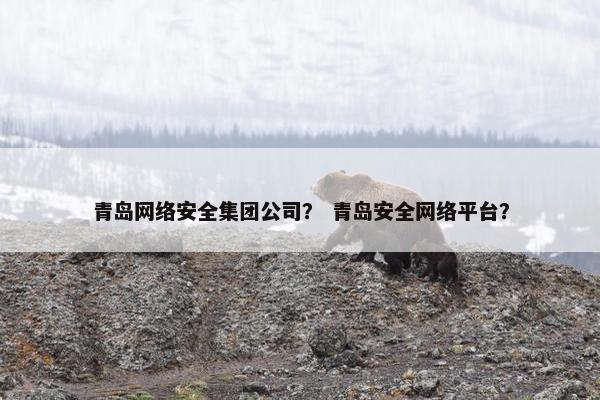 青岛网络安全集团公司？ 青岛安全网络平台？