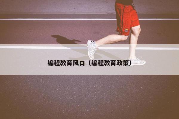 编程教育风口（编程教育政策）