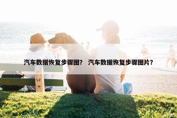 汽车数据恢复步骤图？ 汽车数据恢复步骤图片？