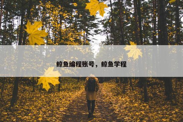 鲸鱼编程账号，鲸鱼学程
