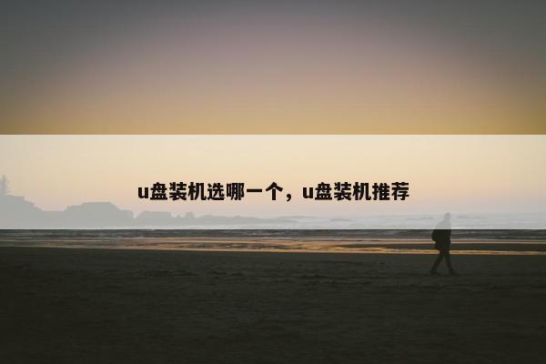 u盘装机选哪一个，u盘装机推荐